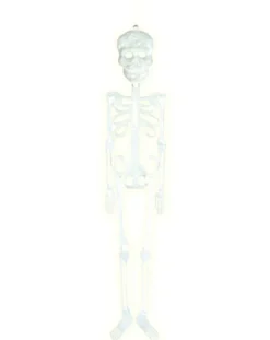 Skelet selvlysende ca. 56cm