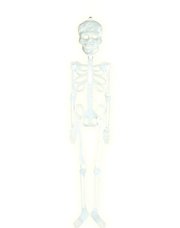 Skelet selvlysende ca. 56cm