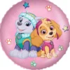 Skye og Everest folieballon 46cm